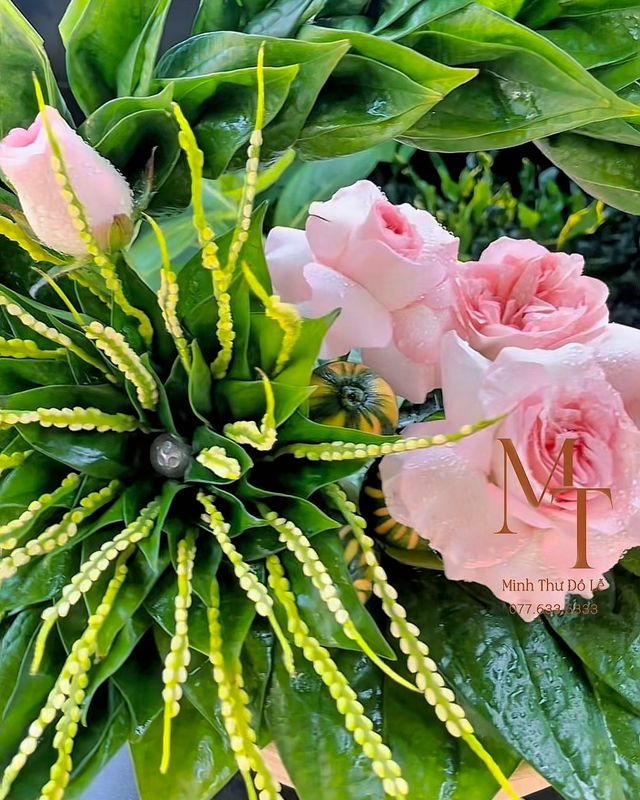 Lễ trầu cau hoa hồng – Minh Thư Đồ Lễ Đà Nẵng