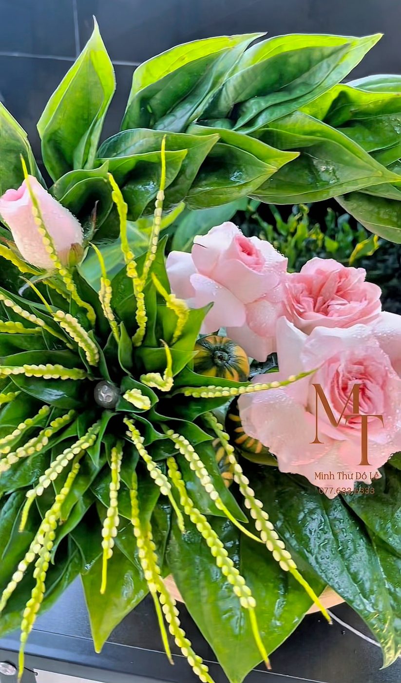 Lễ trầu cau hoa hồng – Minh Thư Đồ Lễ Đà Nẵng
